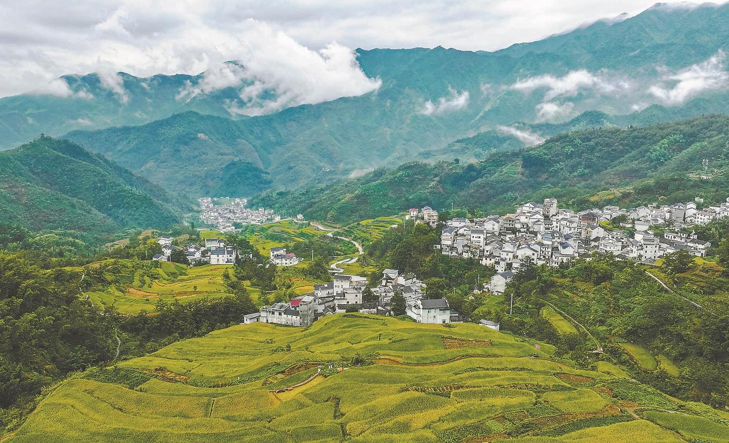 安徽风采,主持人激情开场