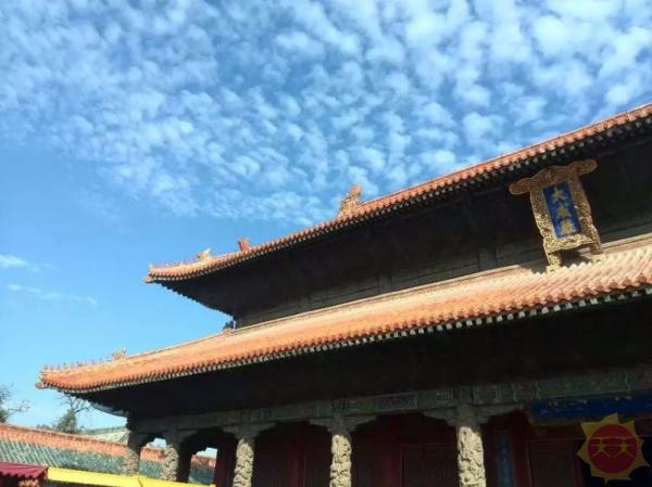 东方明珠，山东——文化底蕴与现代交融的齐鲁之地