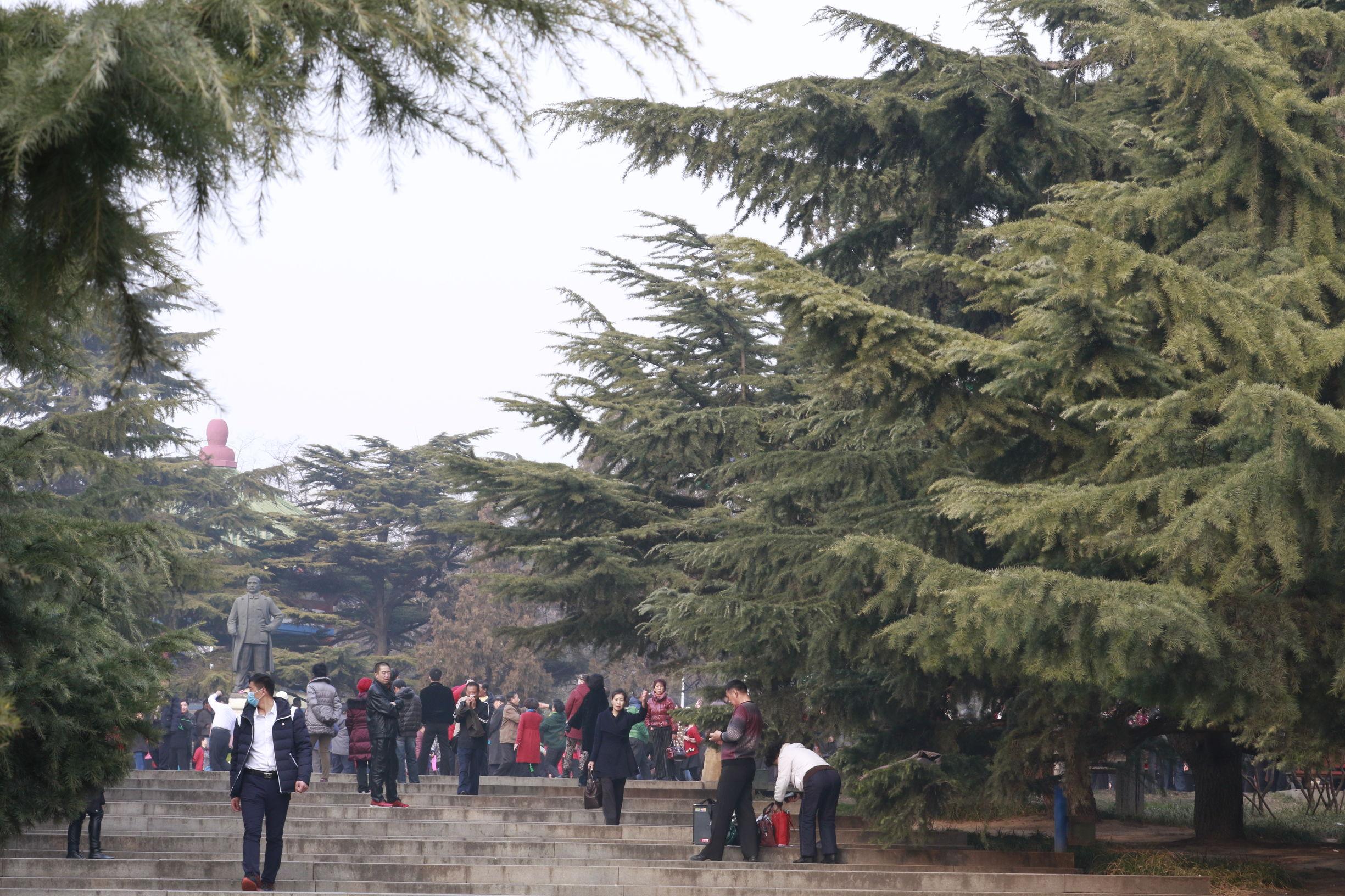 大学生眼中的魅力之都,大连之行