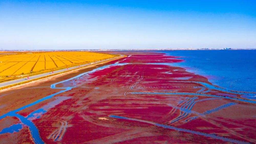 盘锦，湿地之都，生态新篇章的璀璨明珠