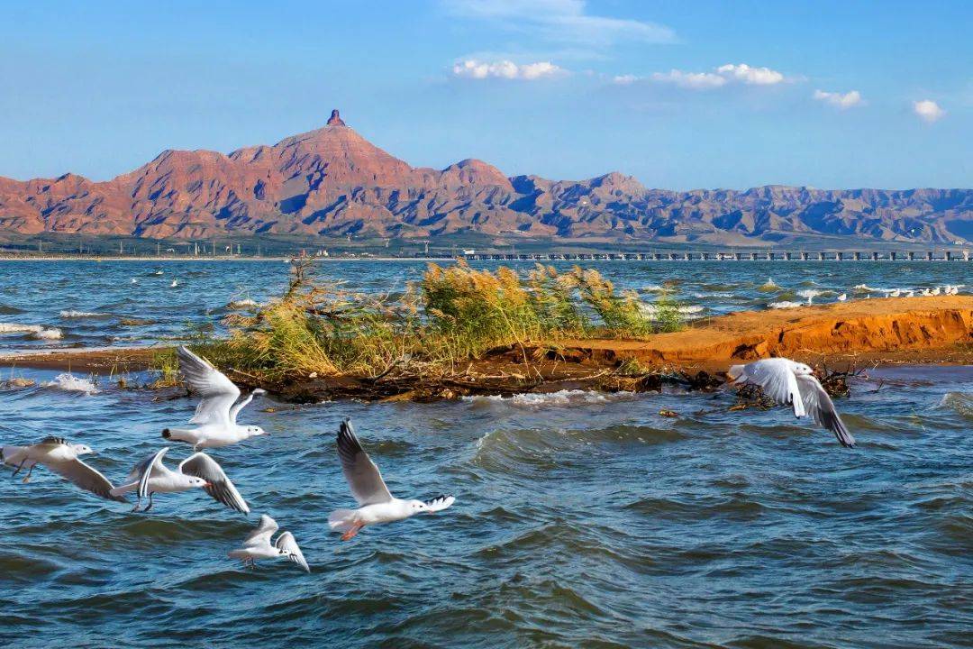 乌海深巷秘境，邂逅味蕾之旅的小店探秘